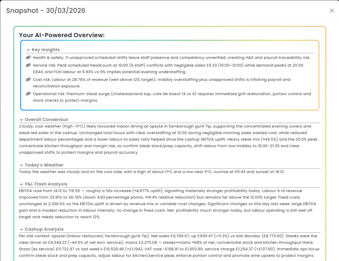 AI-powered overview and insight snapshot
